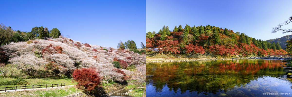 暢遊豐田絕美秋景與品嚐特色美食的巴士之旅！以下是部分參加者分享的感想♪