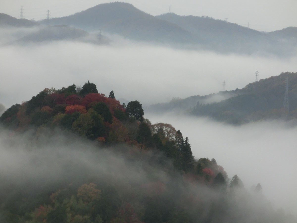 「冬のオススメ ！ WE LOVE とよた ツアー！！」　～　第３弾　～