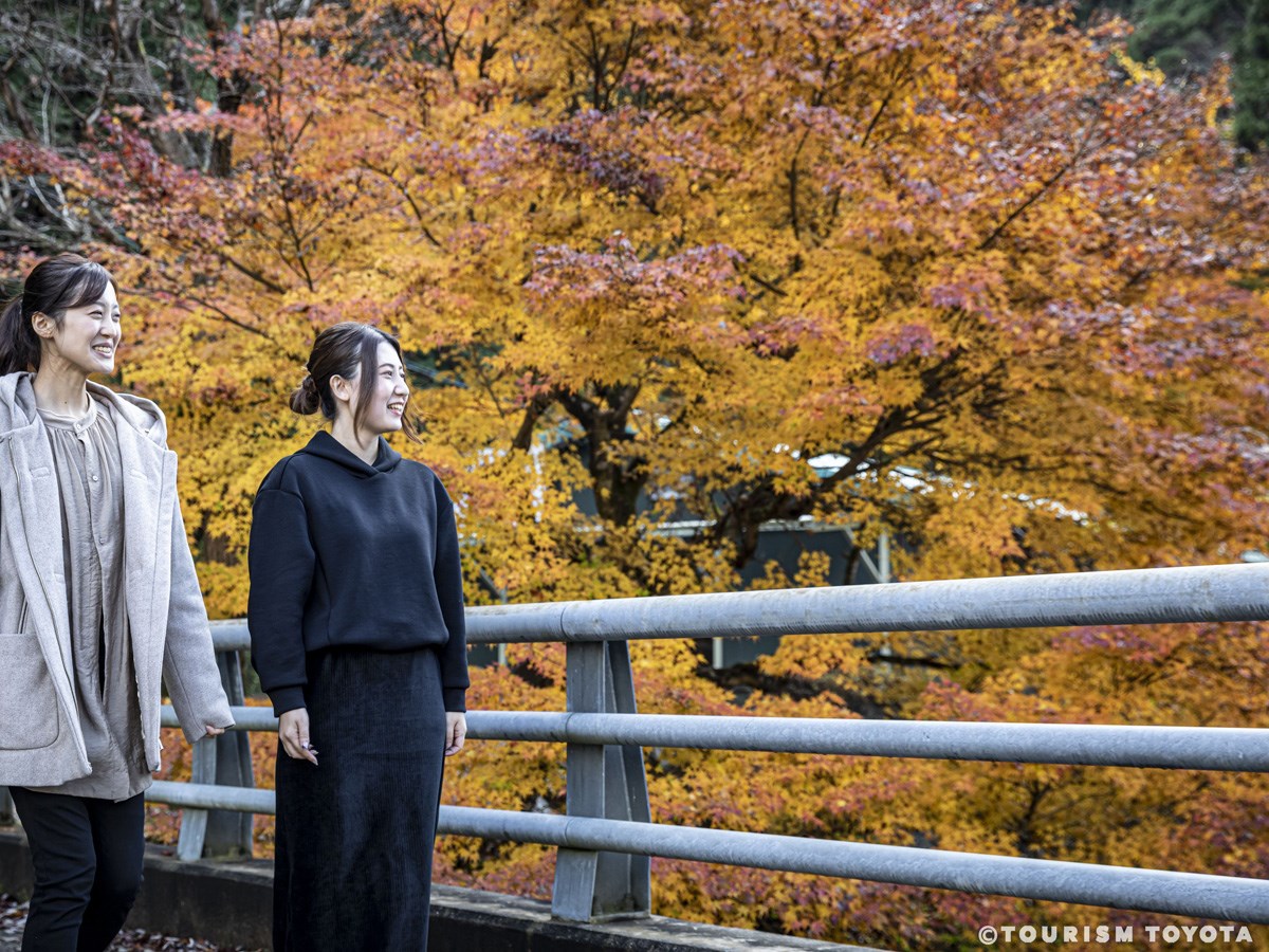 自然の恵み！ぷりぷり肉厚原木しいたけの食べ放題！