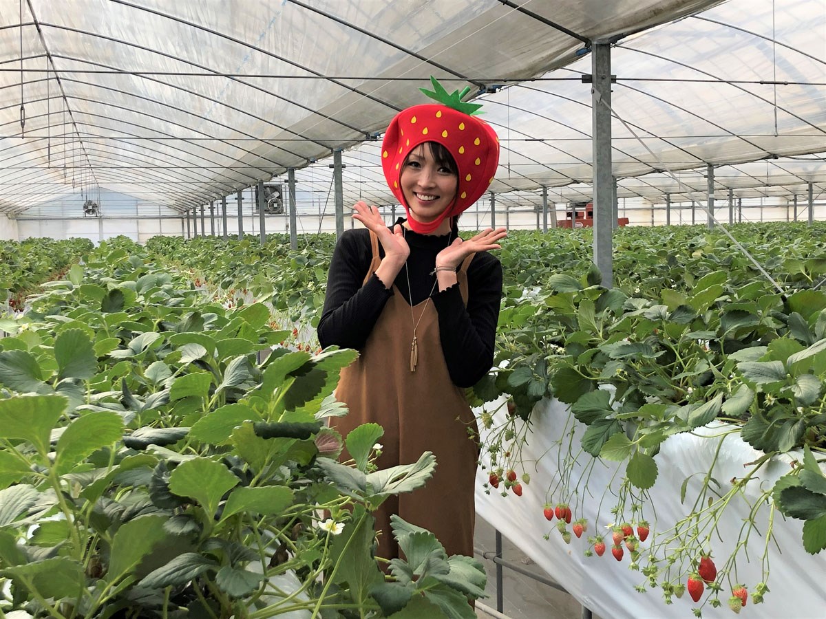 うめこう桃梨苺園のいちご狩り