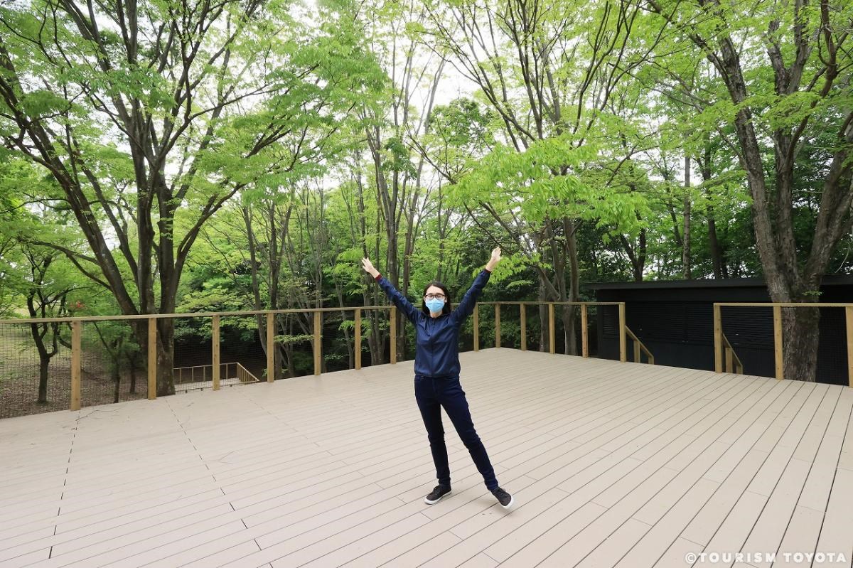 キャンプエリア