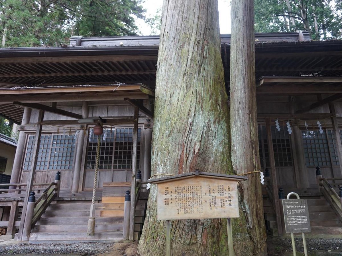 稲橋八幡神社