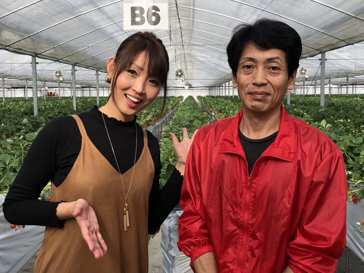 うめこう桃梨苺園