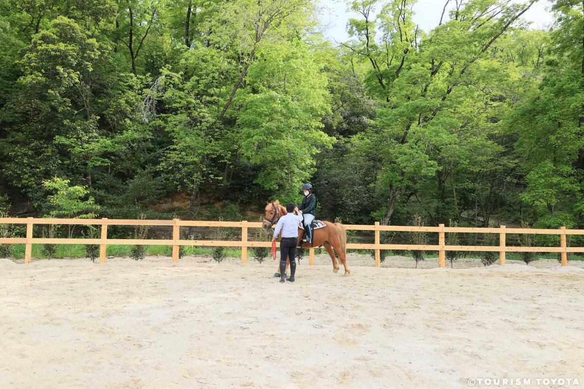 乗馬体験