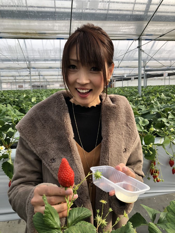 うめこう桃梨苺園のいちご狩り