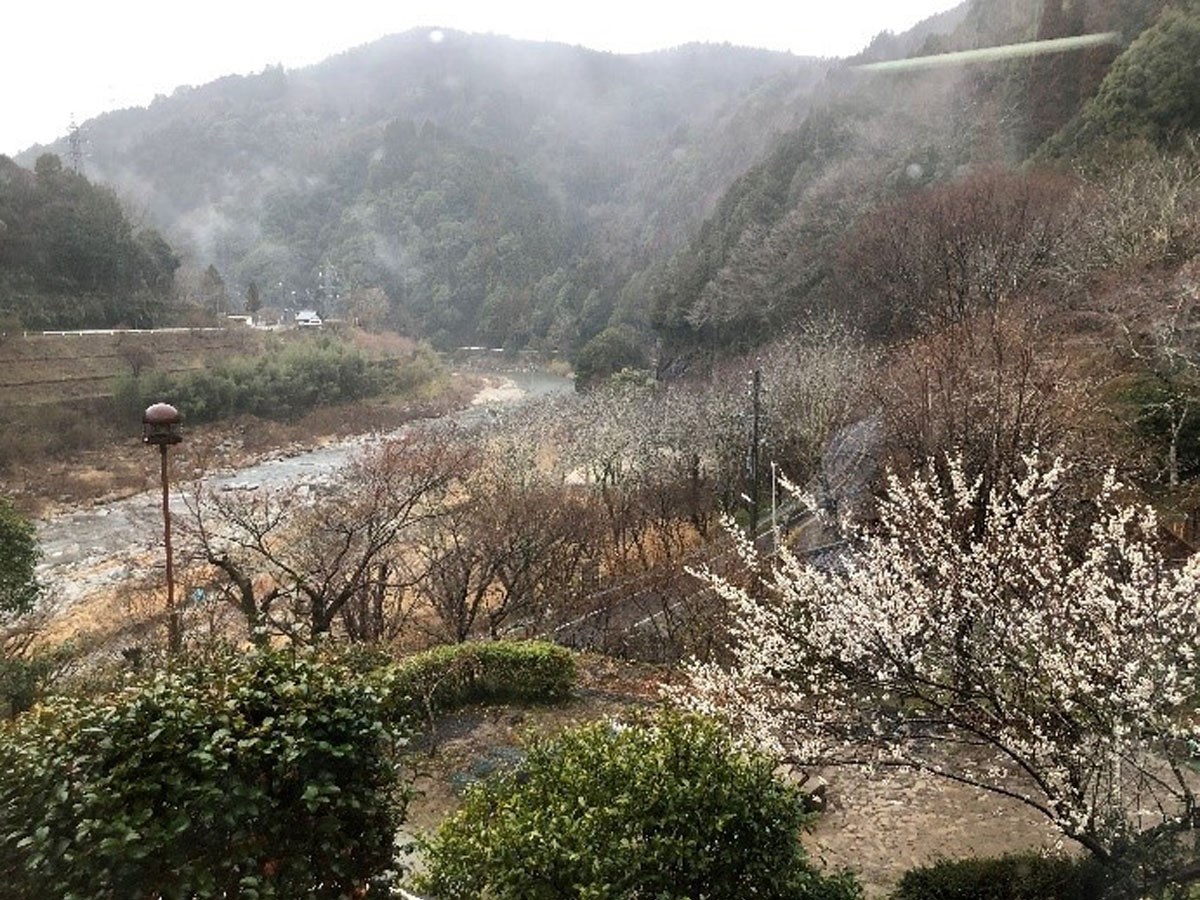 「冬のオススメ ! WE LOVE とよた ツアー!!」 ~ 第4弾『温泉・スイーツ』 ~