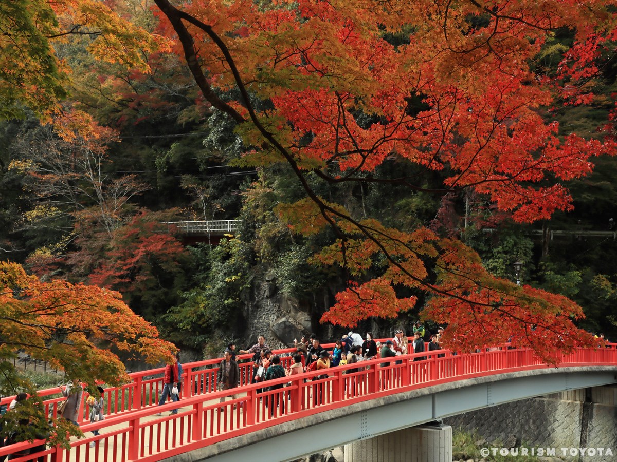Hẻm núi Korankei hay Obara Shikizakura: Địa điểm ngắm lá mùa thu nổi tiếng bậc nhất của Thành phố Toyota!