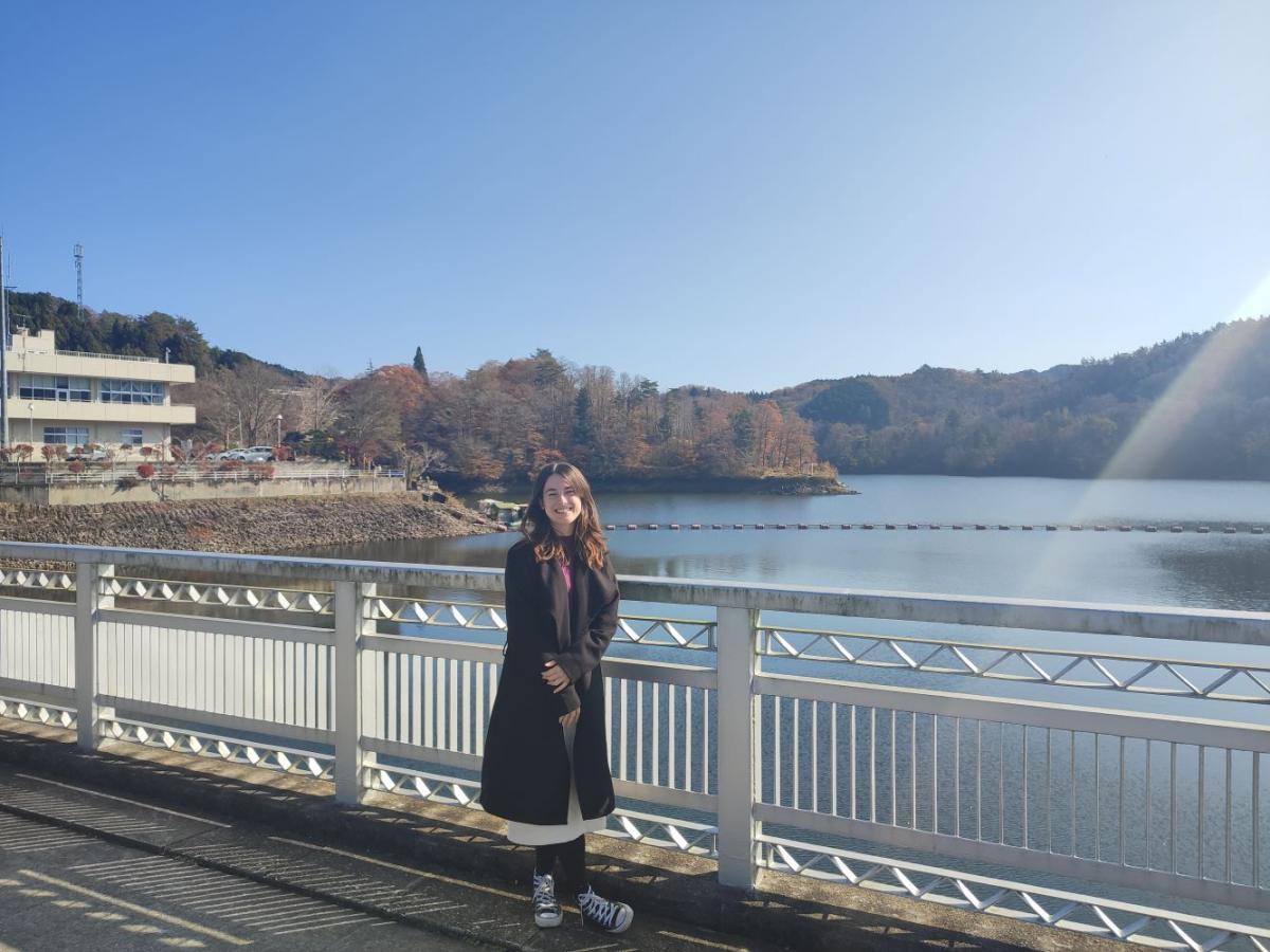 A Historical Journey Through Castle Hopping in Toyota