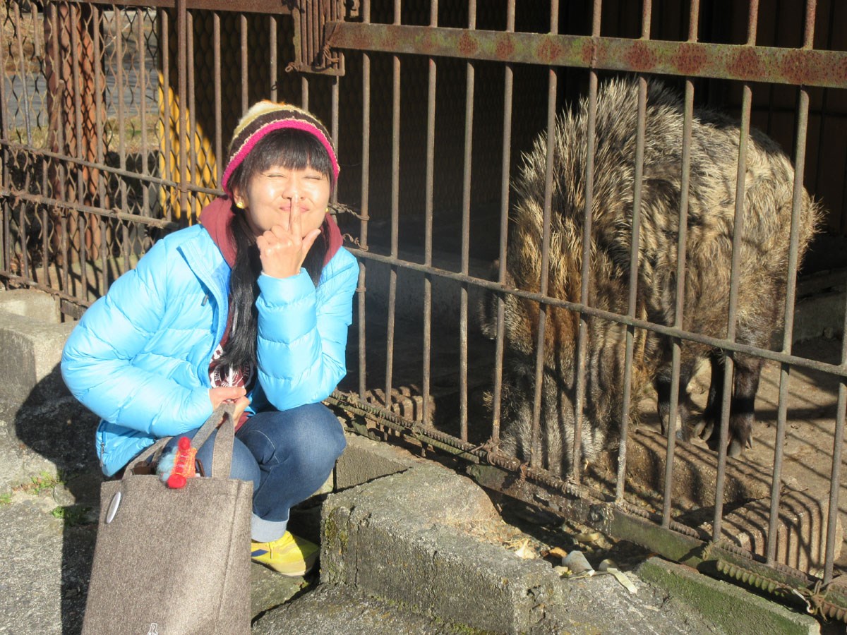 ツーリズムとよた×ラジオラヴィ―ト共同企画　「冬のオススメ ！ WE LOVE とよた ツアー！！」