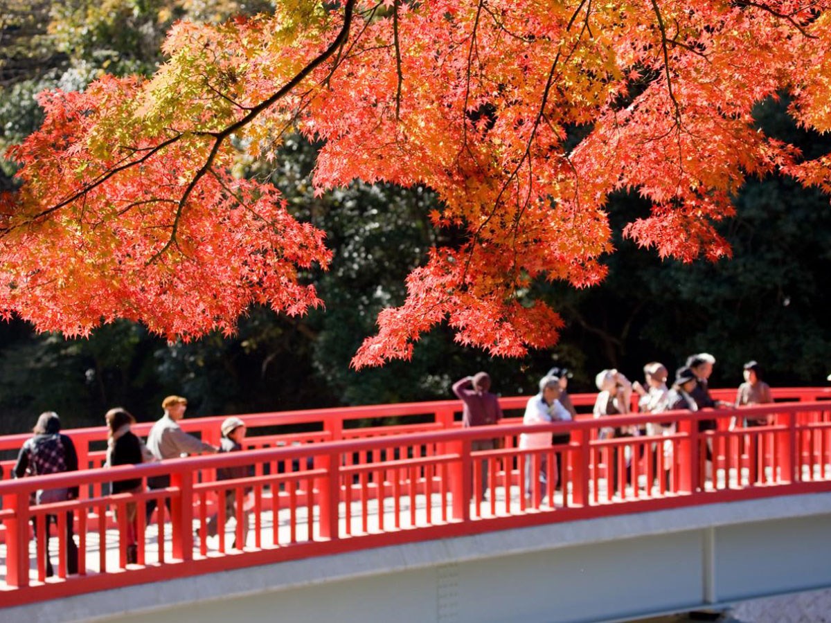 Asuke, Korankei, It’s an Experience, Not a Side Trip!