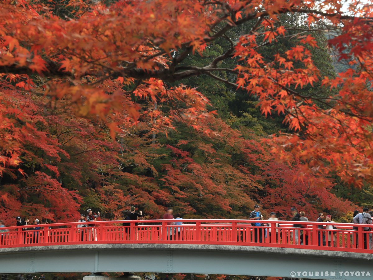 香嵐渓もみじまつり
