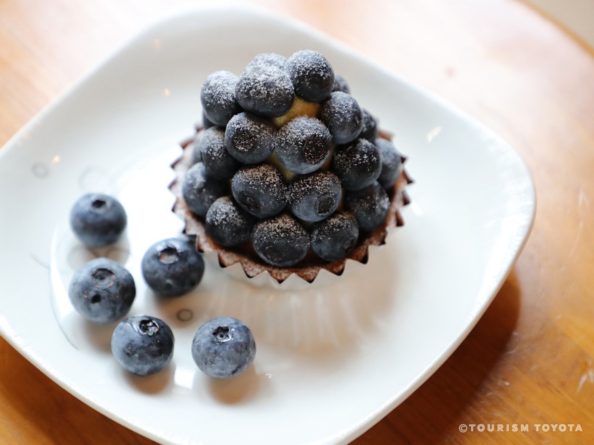 ブルーベリーのこみち