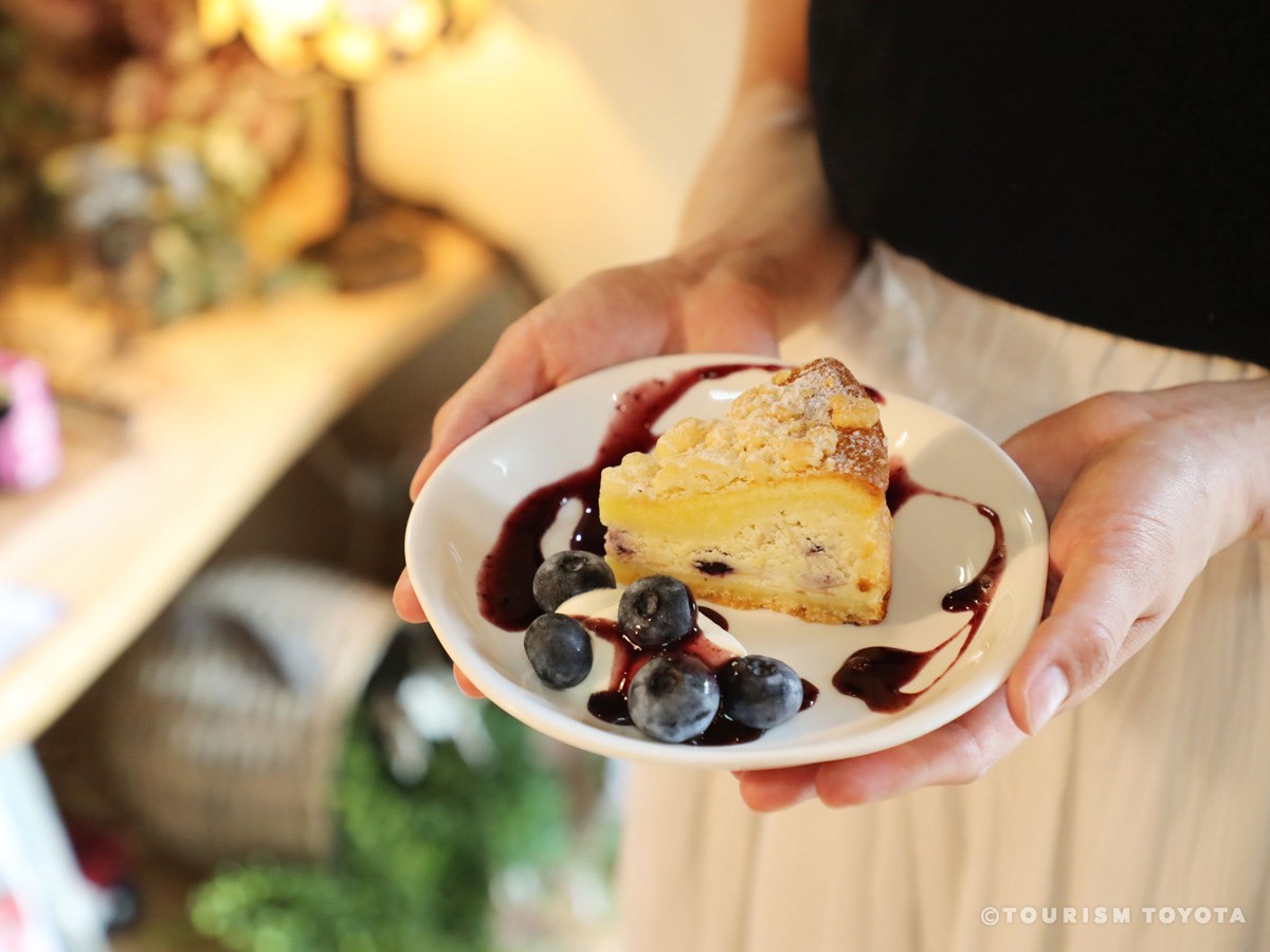 ブルーベリーのこみち