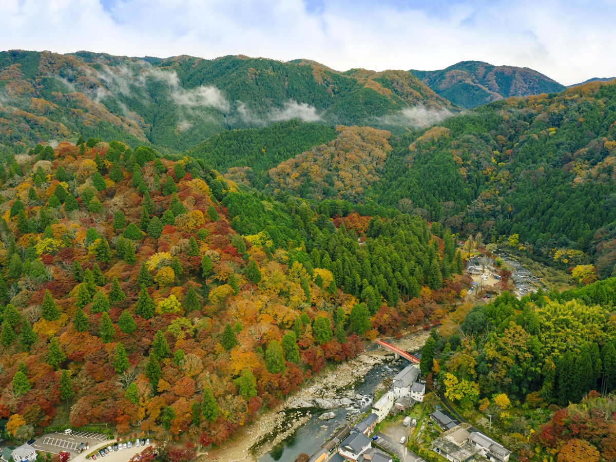 2020年、香嵐渓の楽しみ方はコレ!