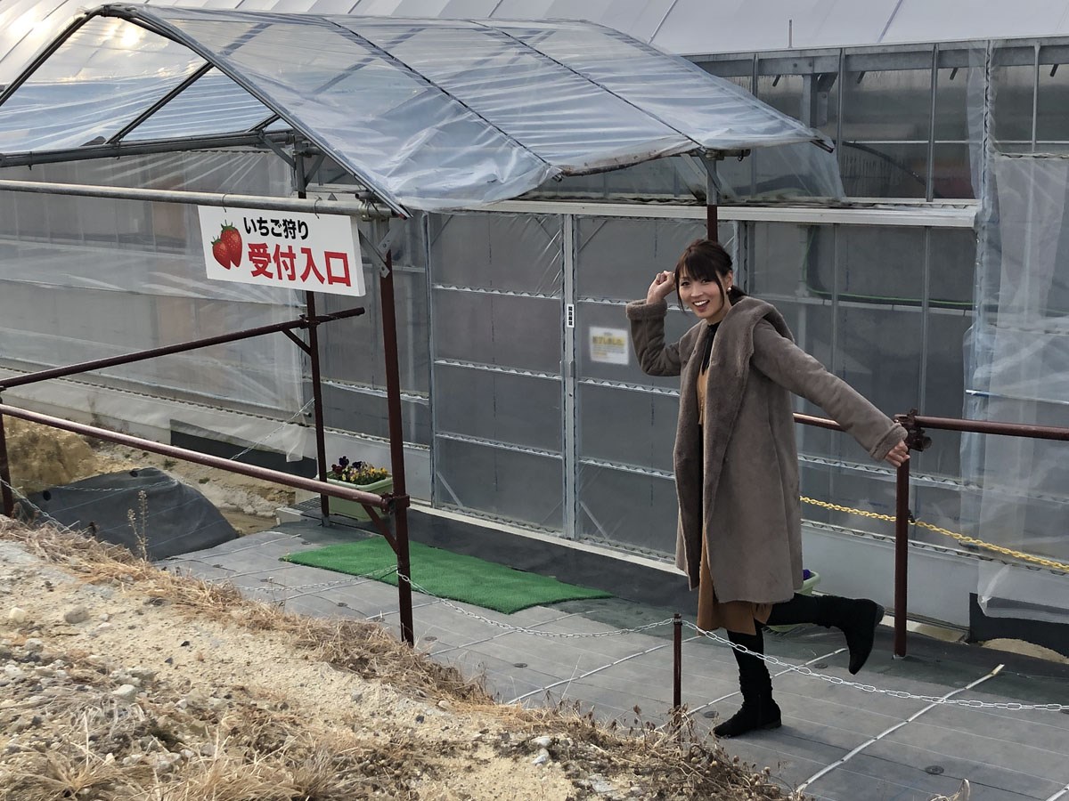 うめこう桃梨苺園