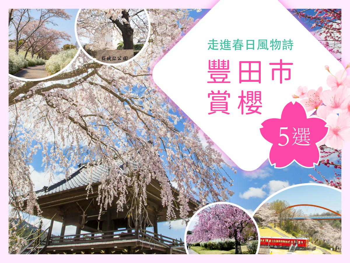 走進春日風物詩　豐田市賞櫻5選