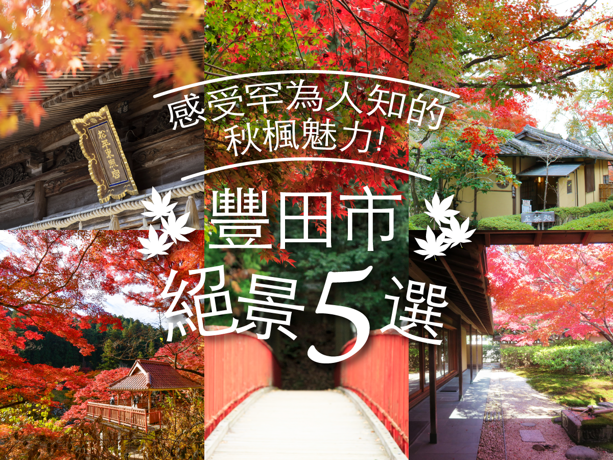 感受罕為人知的秋楓魅力！豐田市絕景5選