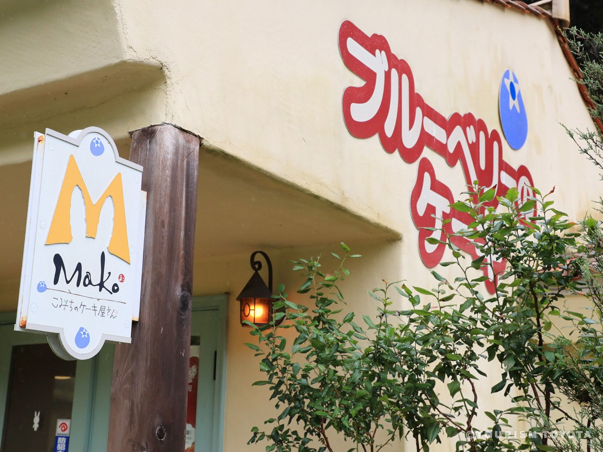 ブルーベリーのこみち