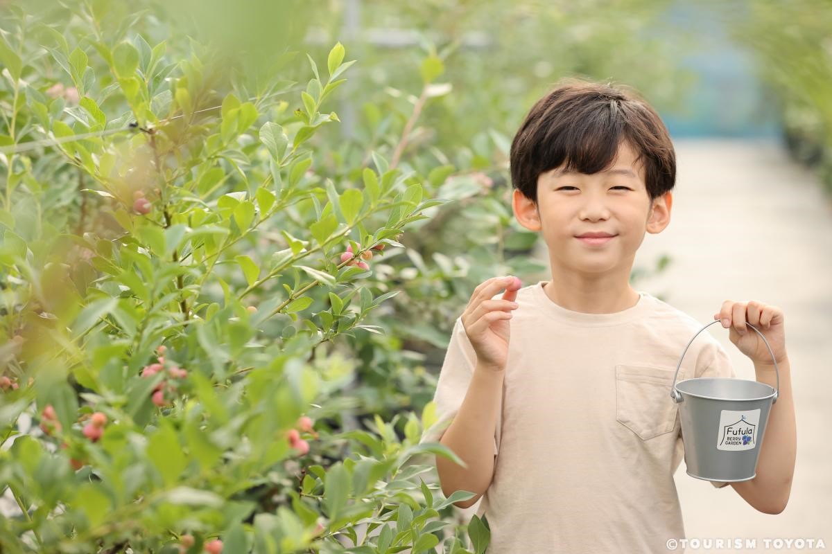 ブルーベリー狩り