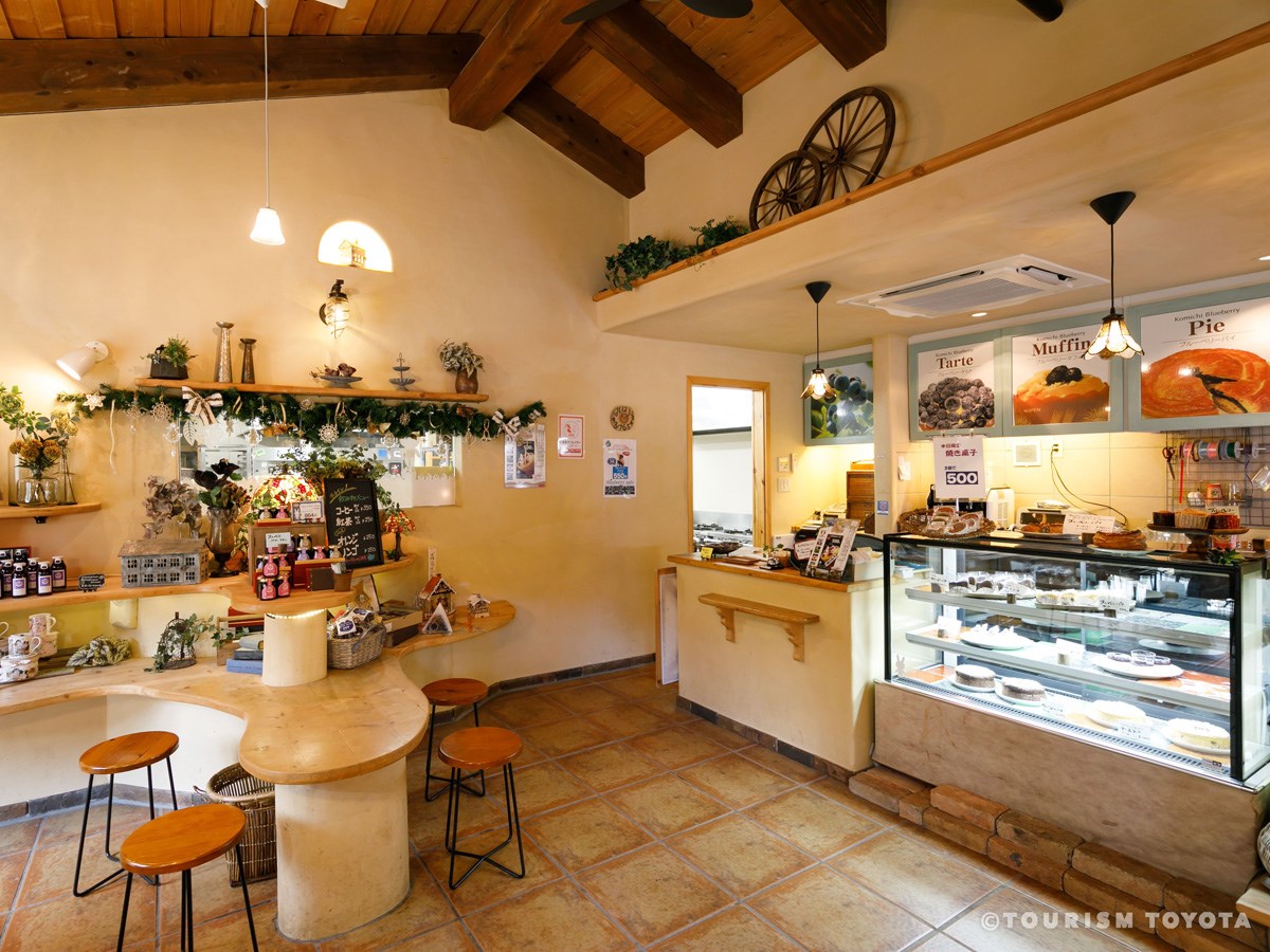 ブルーベリーのこみち