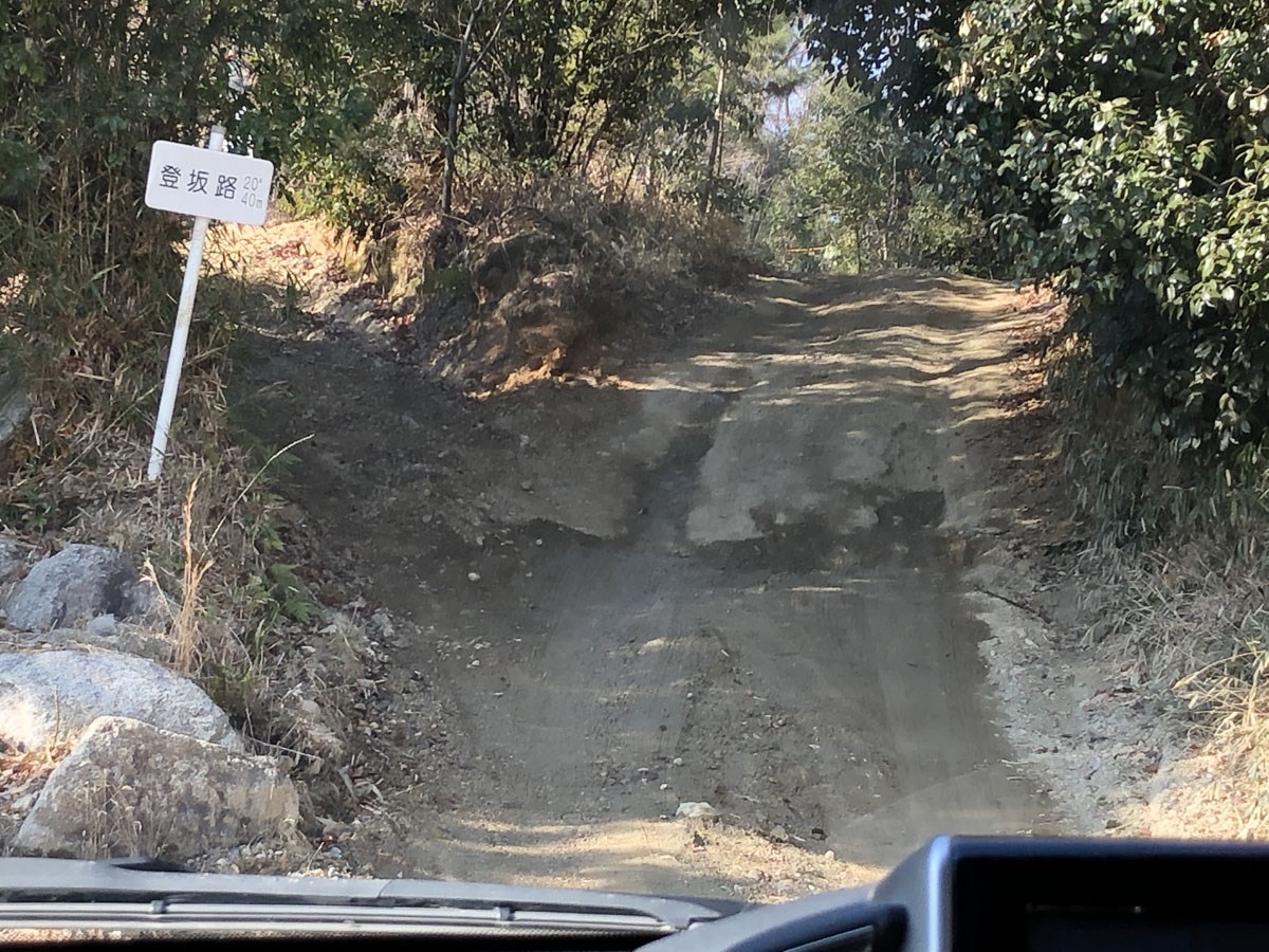 さなげアドベンチャーフィールド