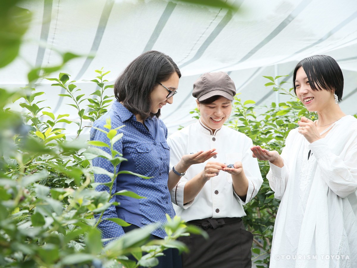 ブルーベリーのこみち