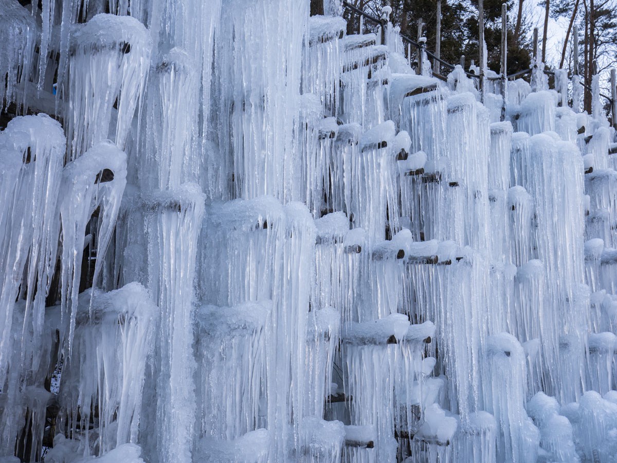 「冬のオススメ ！ WE LOVE とよた ツアー！！」　～　第３弾　～