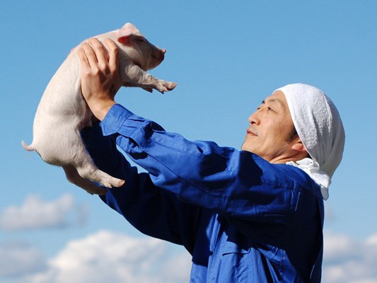 トヨタファーム(養豚場)の鋤柄雄一さん