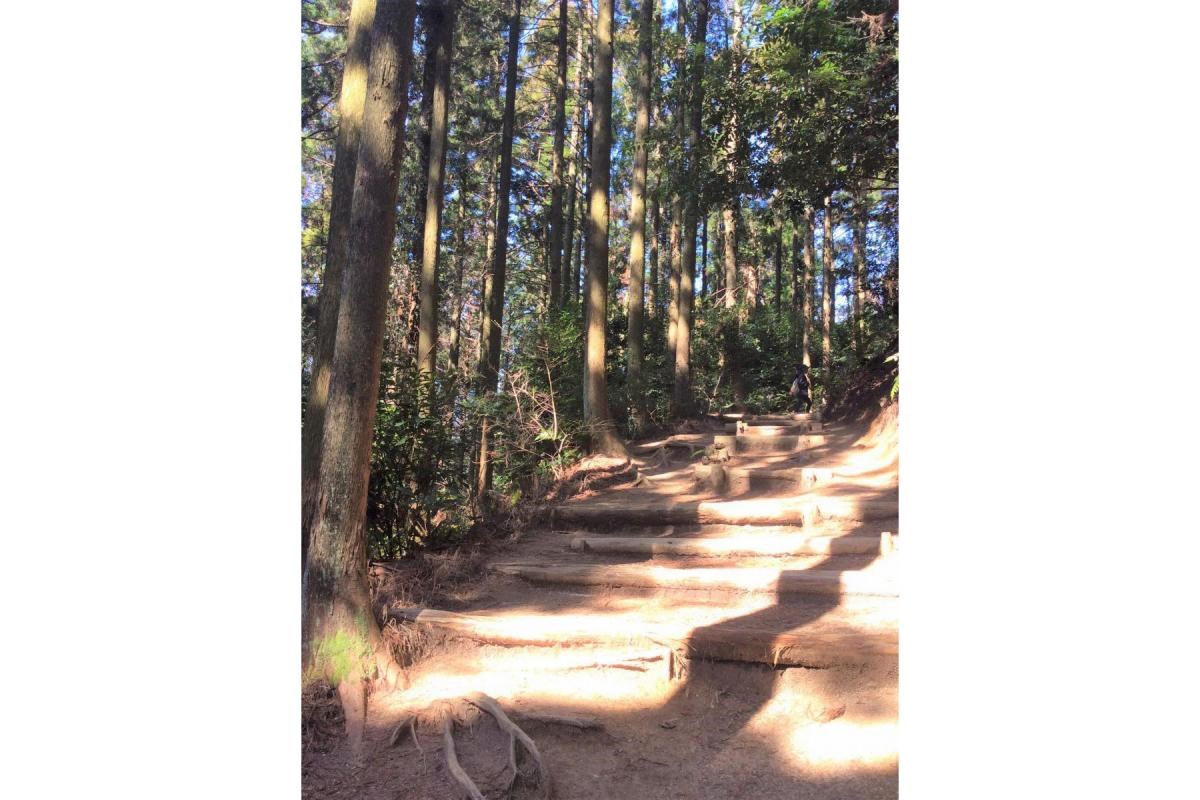 登山に温泉、名古屋近くで自然を感じる旅 in 猿投