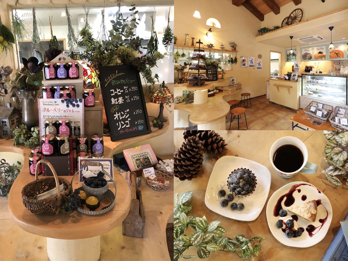 「冬のオススメ ！ WE LOVE とよた ツアー！！」　～　第３弾　～