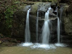 季節の見どころスポット