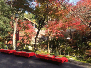 季節の見どころスポット