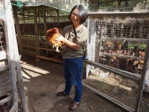 ファームイン「木＆木」コッコ