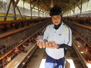 ファームイン「木＆木」コッコ