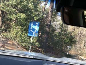 さなげアドベンチャーフィールド