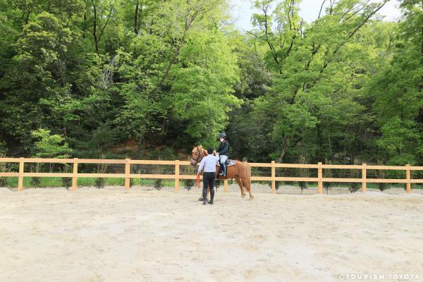 乗馬体験